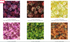 Nature Walk Batik Fat Quarter Bundle by RJR Fabrics with 22 colorful botanical, floral, leaf and branch print cotton batiks.