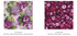 Petal Park Pixie Strips jelly roll with coordinating floral cotton strips by RJR Studio for RJR Fabrics