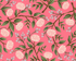 Wildwood Peonies Pink floral quilting cotton by Rifle Paper Co. for Cotton + Steel Fabrics
