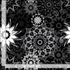 Silhouette Stars Noir 108-inch wide quilt backing fabric by Judy and Judel Niemeyer for Timeless Treasures featuring black, charcoal, grey, and white layered starburst and floral geometric motifs.