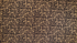 Moxie Florals Black Metallic Fabric by Rifle Paper Co. – bold floral cotton fabric with gold accents from Primavera collection.