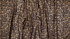 Moxie Florals Black Metallic Fabric by Rifle Paper Co. – bold floral cotton fabric with gold accents from Primavera collection.
