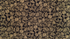 Moxie Florals Black Metallic Fabric by Rifle Paper Co. – bold floral cotton fabric with gold accents from Primavera collection.