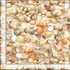 Water's Edge - Beachcomber Shells Yardage