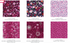 Valentine Fat Quarter Box by RJR Studio for RJR Fabrics featuring 120 premium cotton fat quarters with 30 coordinating metallic glitter Valentine's prints in pink, red, burgundy, cream, and teal.