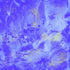 Bijoux - Metallic Texture Purple Yardage