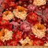 Tropical Garden Spice fabric from the Island Bouquet collection by Hoffman Fabrics featuring lush tropical flowers in shades of crimson, scarlet, coral, blush, peach, apricot, and burgundy on a black background printed on premium quilting cotton.