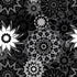 Silhouette Stars Noir 108-inch wide quilt backing fabric by Judy and Judel Niemeyer for Timeless Treasures featuring black, charcoal, grey, and white layered starburst and floral geometric motifs.