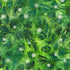 Artisan Batiks Evergreen Ice Sparkle Frosted Pinecones Pine batik fabric featuring green pinecones and evergreen branches with silver metallic accents on a rich pine green hand-dyed background.