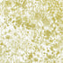 White quilting fabric featuring delicate metallic gold wildflower sketches from the Cobalt Bliss collection by Lauren Wan for Robert Kaufman Fabrics.