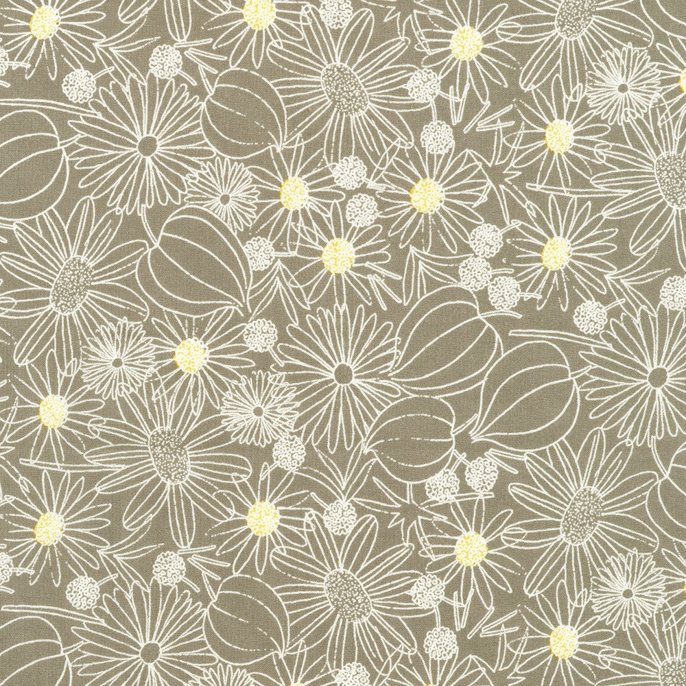 Crystal Lawn Daisy Outline Taupe Gray Japanese cotton lawn fabric by Sevenberry for Robert Kaufman featuring white outlined daisies with soft yellow centers on a taupe gray background.
