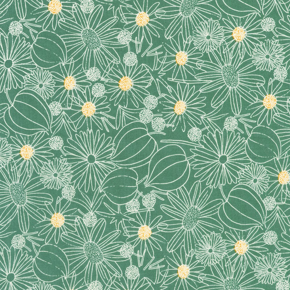 Crystal Lawn Daisy Outline Sage Japanese cotton lawn fabric by Sevenberry for Robert Kaufman featuring delicate white outlined daisies with golden centers on a soft sage green background.