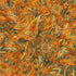 Golden Feathers Mosaic Feathers Saffron Metallic quilting cotton fabric by Studio RK for Robert Kaufman featuring colorful stylized feathers in saffron, teal, gold, and earth tones with shimmering metallic accents.