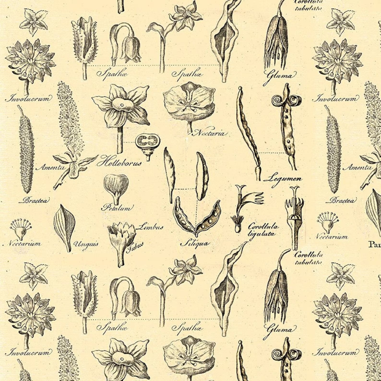 Art Journal - Flower Study Beehive Yardage