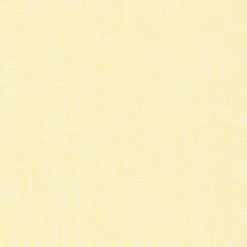 Invoice for 9 yards 21 inches - Japanese Classic Oxford - Yellow
