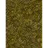 Andalucia - Daisies Olive Yardage
