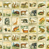 Library of Rarities - Jungle Animals Vintage Yardage
