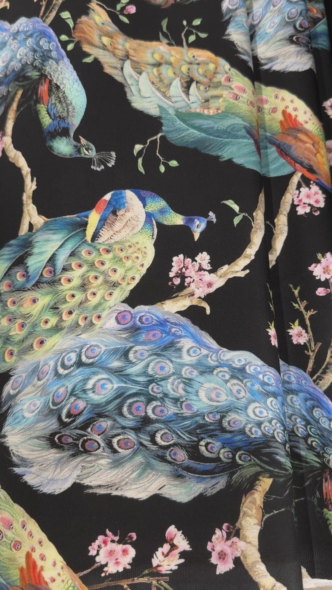 Flourish – Elegant Peacock on Branches on Black Fabric by Timeless Treasures – bold peacock print on black cotton.