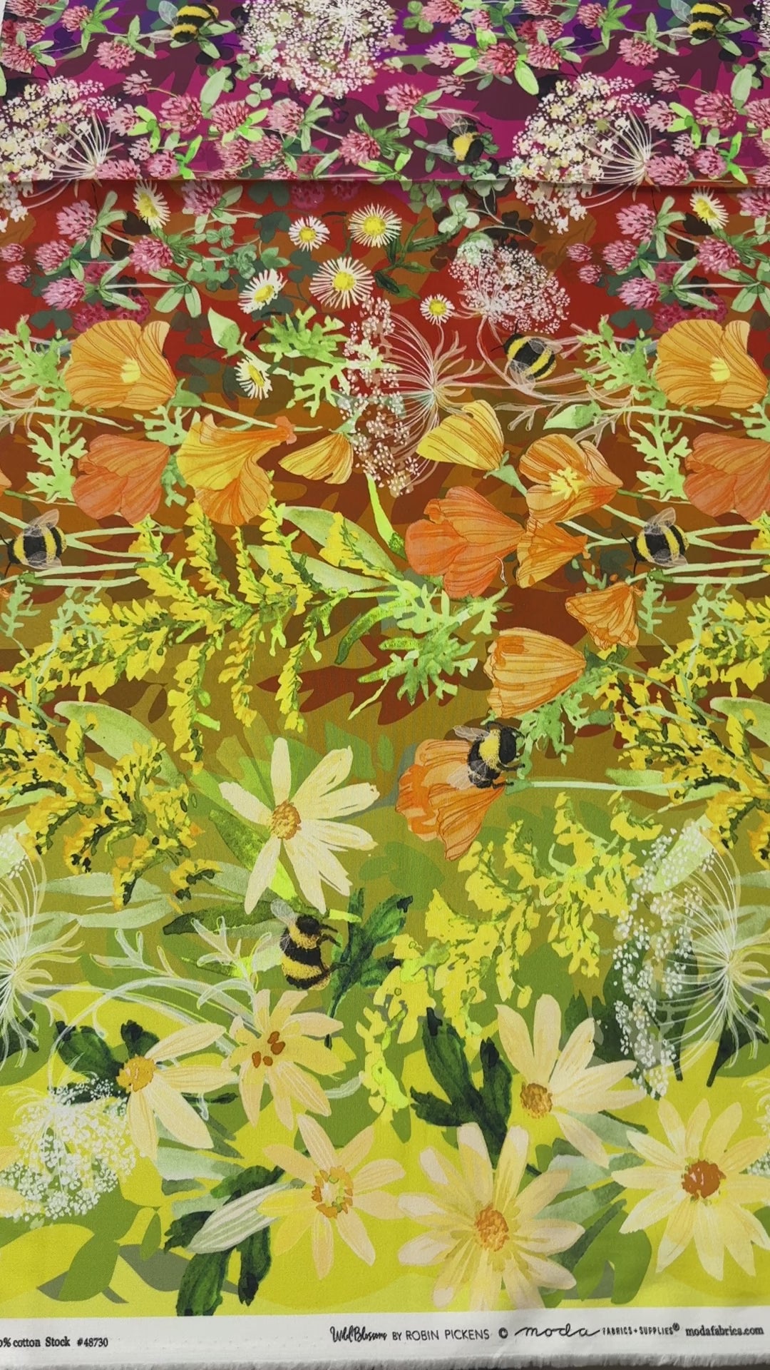 Wild Blossoms Rainbow – Wildflowers Ombre Fabric by Robin Pickens for Moda – Rainbow gradient cotton with floral print.