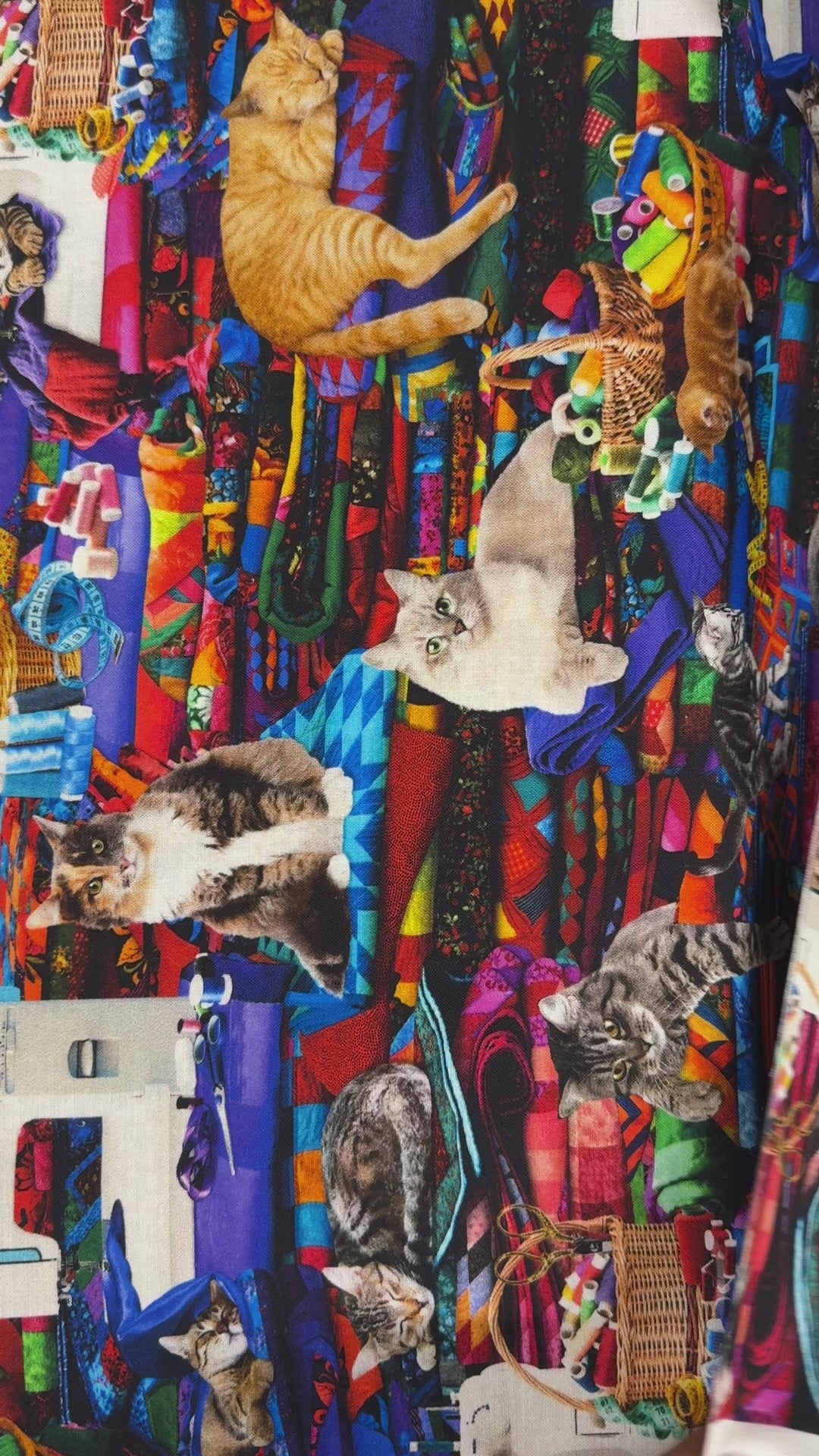 Sewing Room - Cats on Quilts - Timeless Treasures