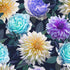 Enchanted Field - Dreaming of Dahlias - Moonlit Blue Yardage