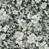 Vintage Fleur - Floral Black Yardage