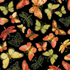 Felicity - Gold Metallic Butterflies on Black by Timeless Treasures