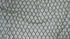 Strawberry Fields - Laurel Green and Cream Fabric by Cotton + Steel | RP404-GC3