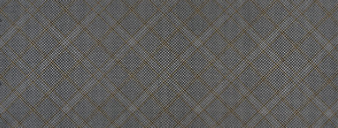 Collection CF - Black Metallic by Carolyn Friedlander for Robert Kaufman