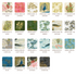 Imperial Collection Fat Quarter Bundle - Robert Kaufman