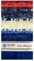 Island Batik - Sail Away Batik Strip Pack