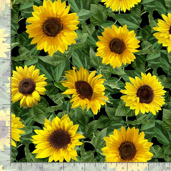 Sunflower Sunset - Small Leafy Sunflowers